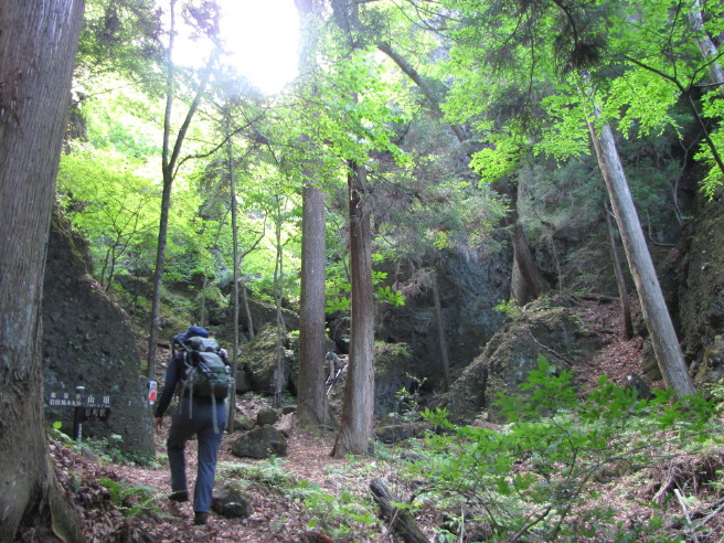 里山散策ｐａｒｔ２　岩櫃山_b0116703_6565450.jpg