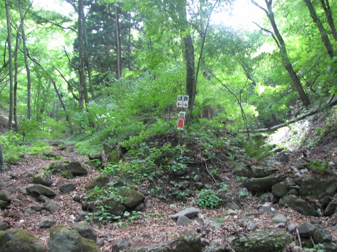 b0116703_656811.jpg