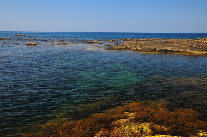 b0158403_1215159.jpg