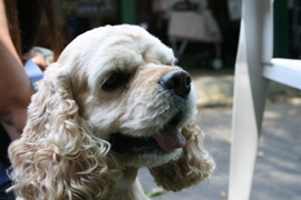 c0128303_0282125.jpg