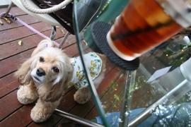 c0128303_0282885.jpg