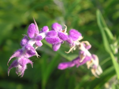 c0156104_0131572.jpg