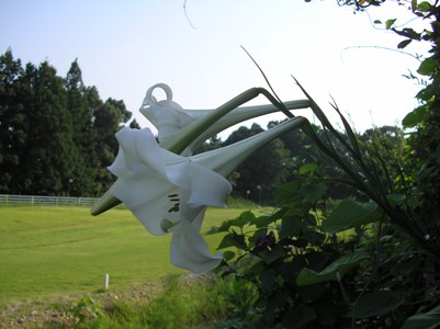 c0156104_013504.jpg