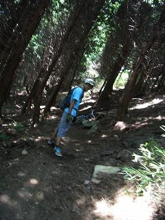 e0183004_1944351.jpg