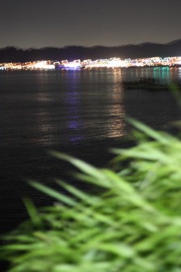 a0007906_10542246.jpg