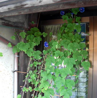 b0062607_17453779.jpg