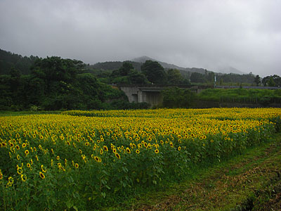 a0041508_1721122.jpg