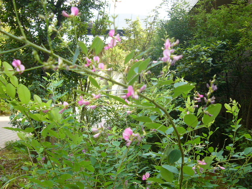 e0130008_19214656.jpg