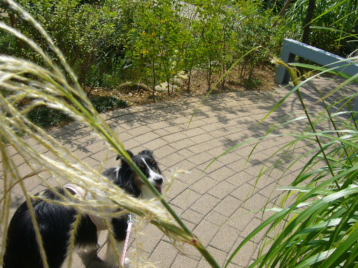e0130008_1922055.jpg