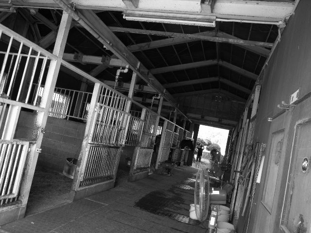 e0063309_146141.jpg