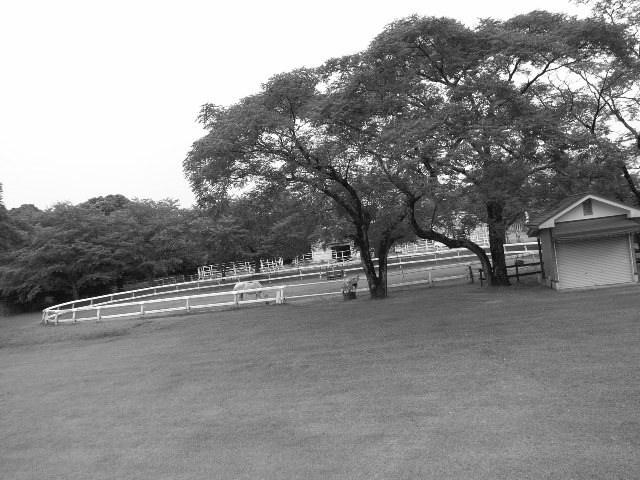 e0063309_1464289.jpg