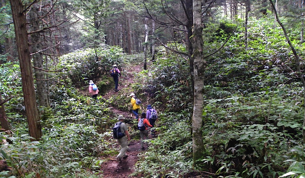 c0078410_23551223.jpg