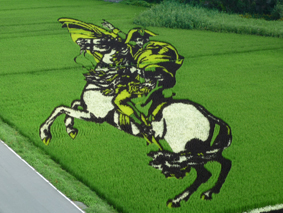 田んぼ見に行きましたよ。_e0148212_16341069.jpg