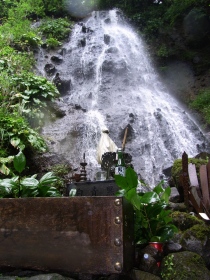e0085113_10514991.jpg