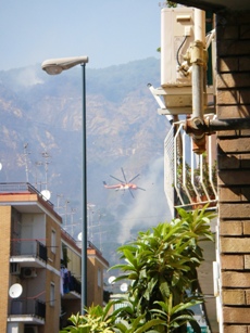f0133814_2005033.jpg