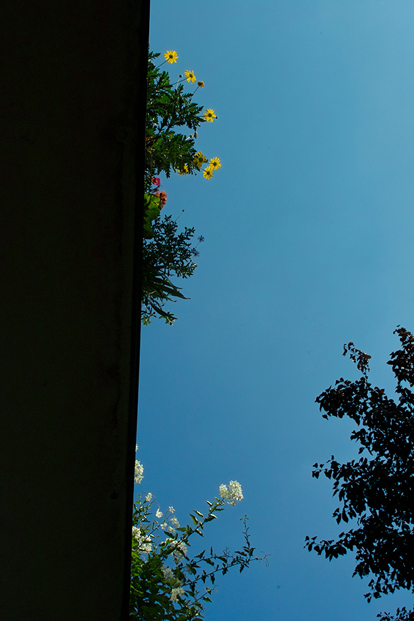 b0148617_0271853.jpg