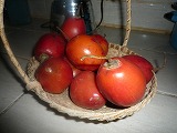 f0204721_0343715.jpg