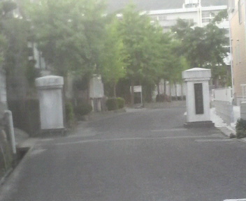 d0150722_1704787.jpg