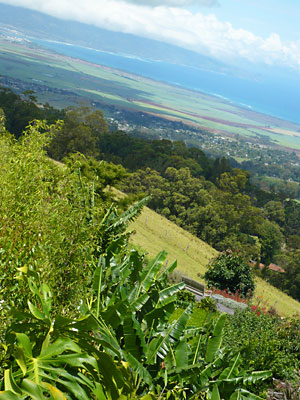 d0023725_8123621.jpg