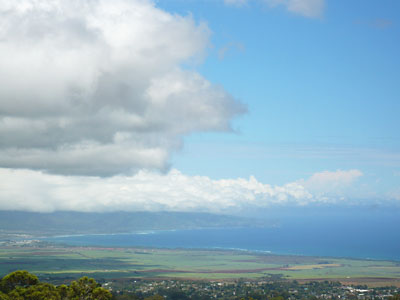 d0023725_813128.jpg