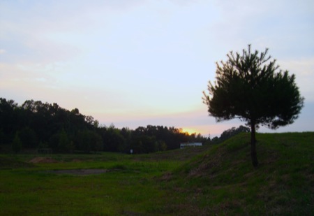 c0116427_2192291.jpg