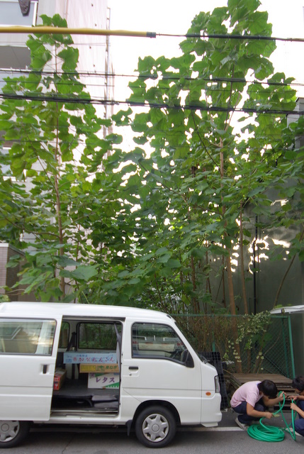 c0195327_1746586.jpg