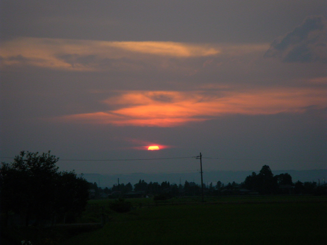 a0119132_1994317.jpg