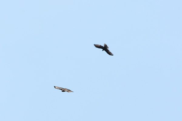 e0104632_1412795.jpg