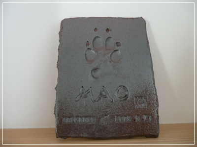 d0140133_162449.jpg