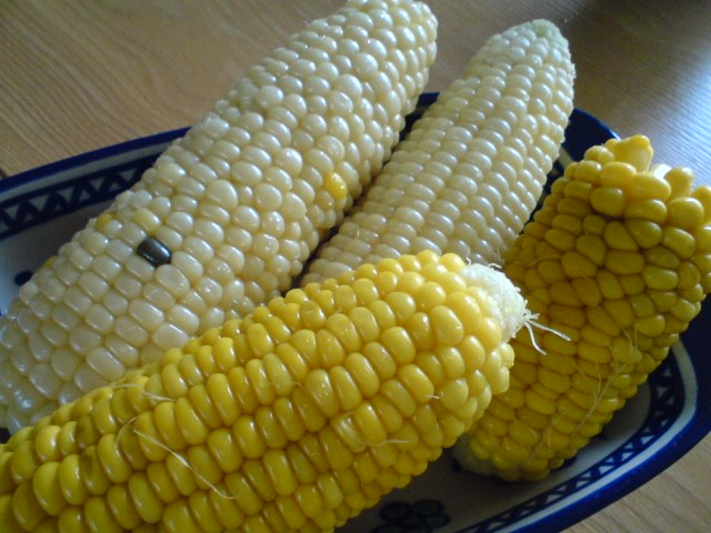 d0132037_9175847.jpg