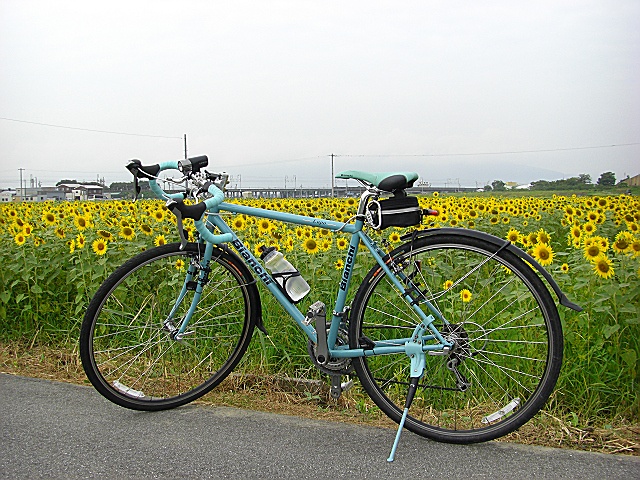 b0088444_22175162.jpg