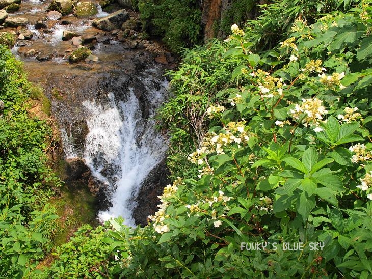 c0145250_2110525.jpg
