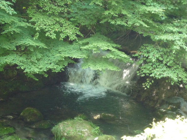 e0159865_1244461.jpg