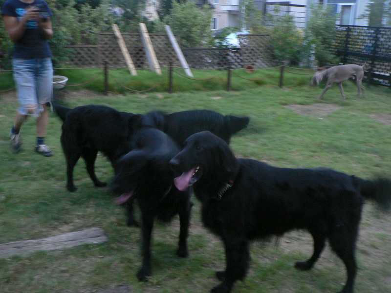 f0065568_23372890.jpg