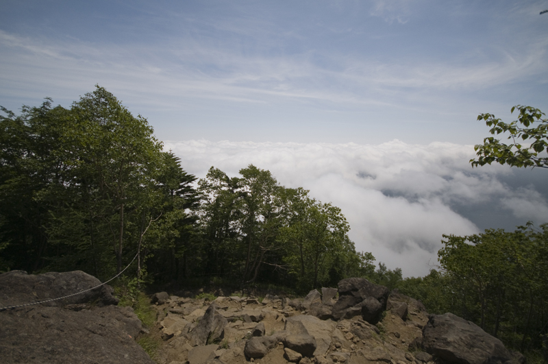 d0012669_510968.jpg