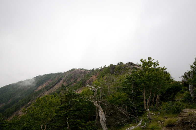 d0012669_5114529.jpg
