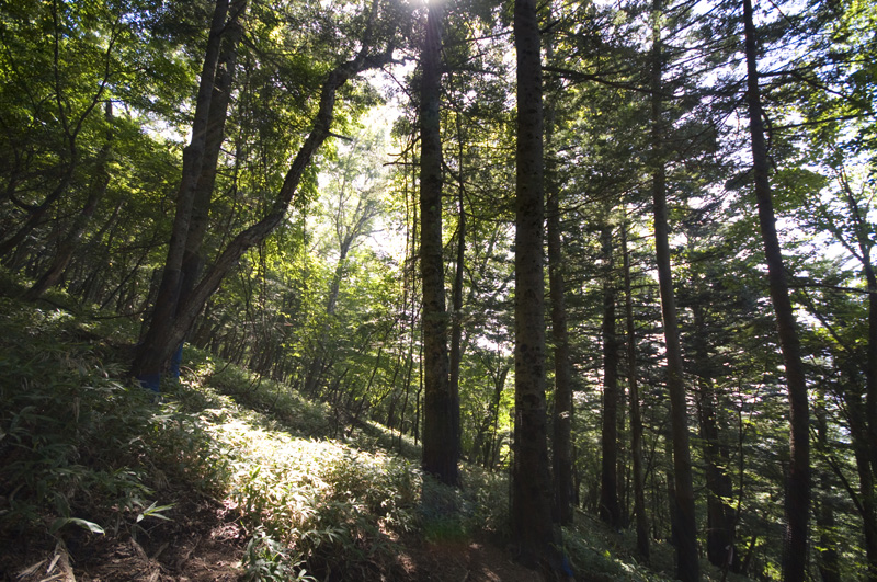 d0012669_56429.jpg
