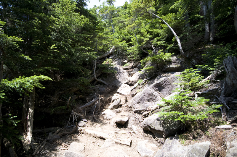 d0012669_585638.jpg