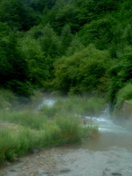 b0011771_04259.jpg