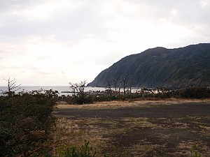 八丈島_a0034773_2358143.jpg