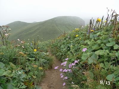 c0198485_91093.jpg