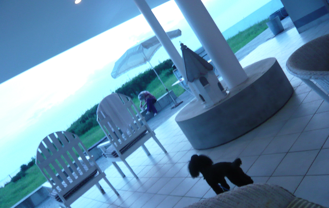 夢の中@BEACH HOUSE_f0164187_0112377.jpg