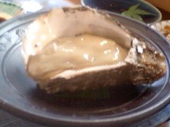 c0160488_249793.jpg