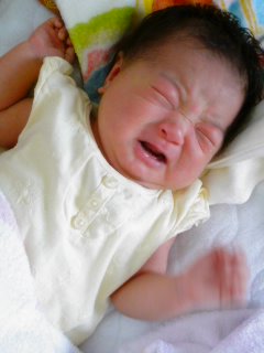 生後22日目と…ポニョのパン。_f0177295_1203585.jpg