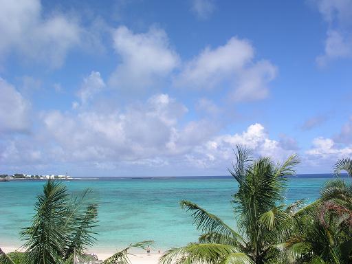 e0115199_14591756.jpg