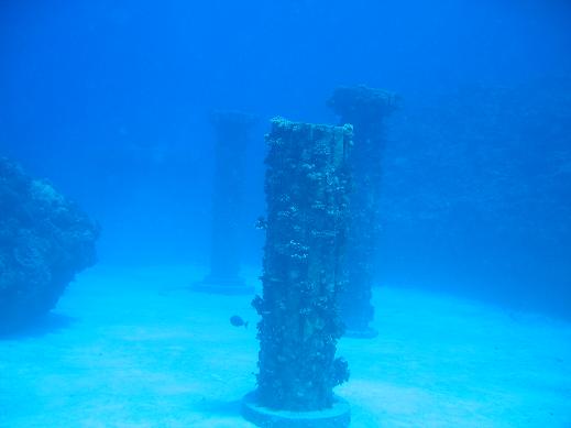 e0115199_17195279.jpg