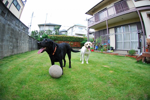 d0091700_10443861.jpg