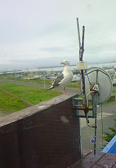 f0187700_13532440.jpg