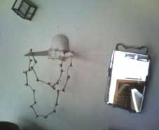 c0008801_1621164.jpg