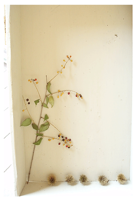 c0129702_1022842.gif